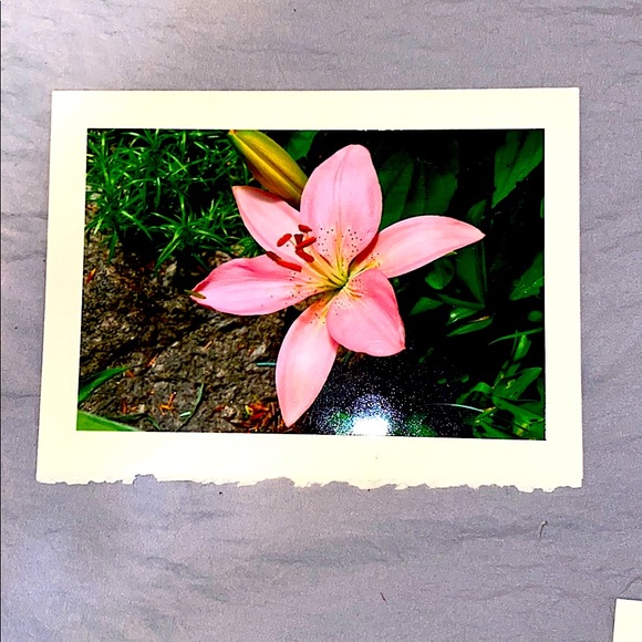 Handmade Flower Blank Cards Rustic Style🦋🌺 - Picture 1 of 7